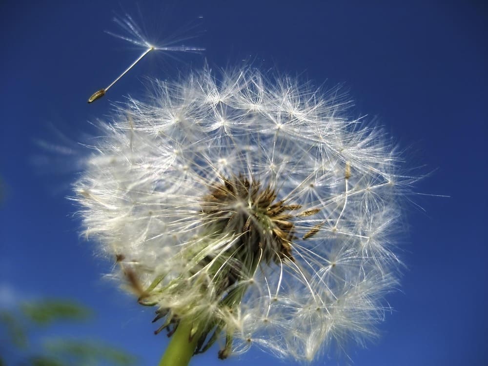 Energetische Reinigung 1